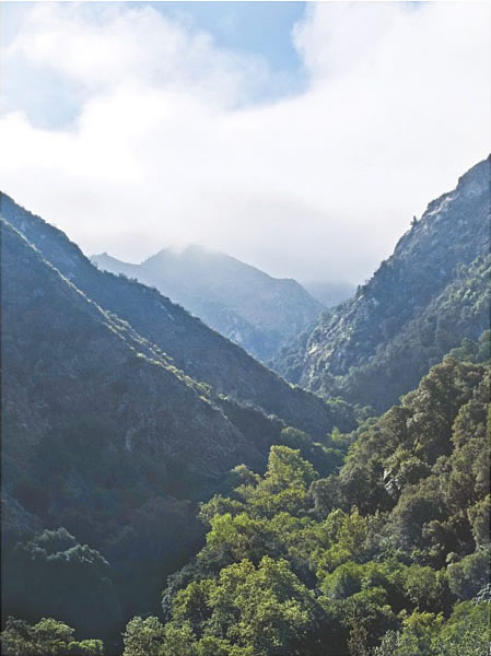 Tassajara canyon